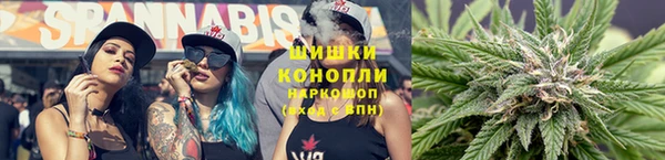 прущие крисы Ельня
