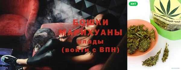 прущие крисы Ельня