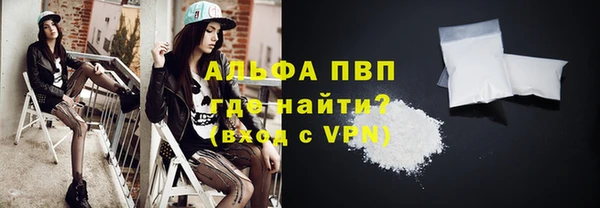 СК Елизово