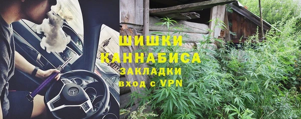 СК Елизово