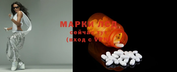 СК Елизово