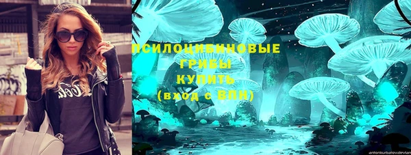 прущие крисы Ельня