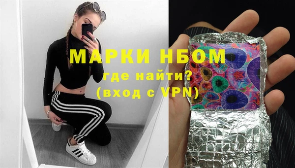 прущие крисы Ельня