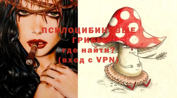 прущие крисы Ельня