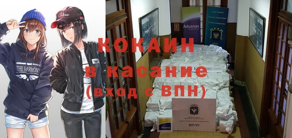 прущие крисы Ельня