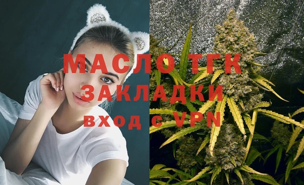 СК Елизово