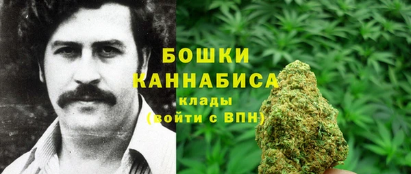 СК Елизово