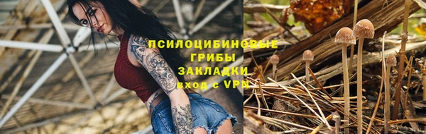 прущие крисы Ельня