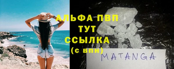 СК Елизово