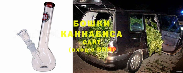 СК Елизово