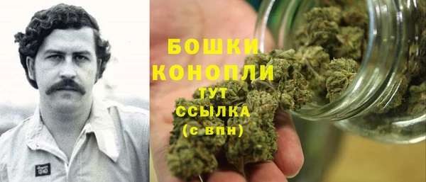 прущие крисы Ельня