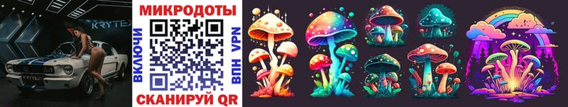 Псилоцибиновые грибы Psilocybe ссылка на мегу Иланский цена наркотик